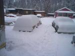 thumb_1170717585-snow-1.jpg