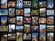 Photo Gallery